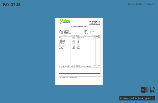 Beispielvorschau für die Gehaltsabrechnung von Valeo India